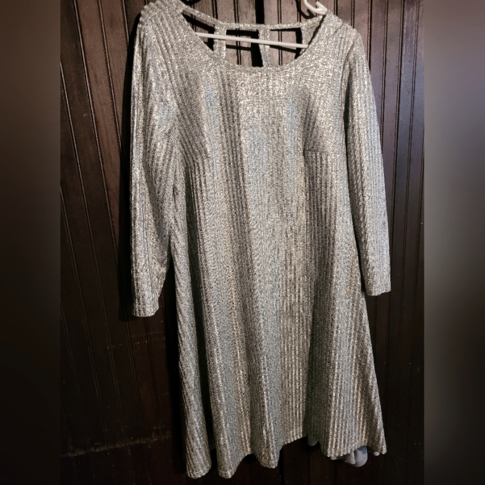 Shimmery silver long sleeve size 1 torrid dress
